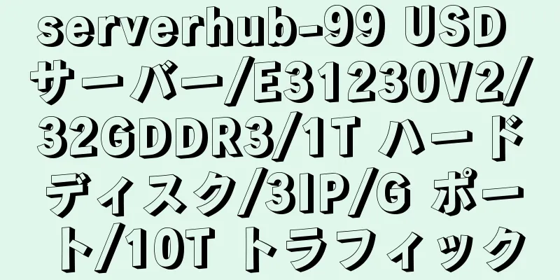 serverhub-99 USD サーバー/E31230V2/32GDDR3/1T ハードディスク/3IP/G ポート/10T トラフィック