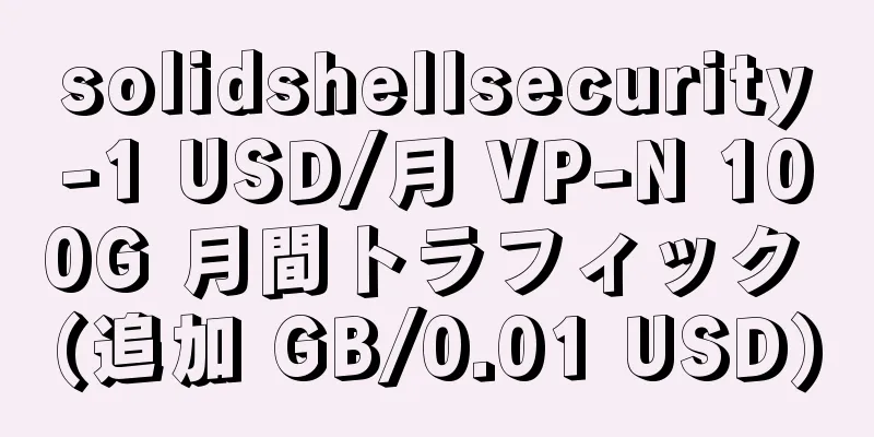 solidshellsecurity-1 USD/月 VP-N 100G 月間トラフィック (追加 GB/0.01 USD)