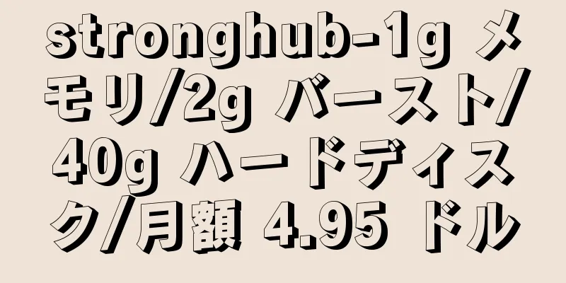 stronghub-1g メモリ/2g バースト/40g ハードディスク/月額 4.95 ドル