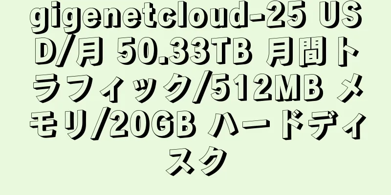 gigenetcloud-25 USD/月 50.33TB 月間トラフィック/512MB メモリ/20GB ハードディスク