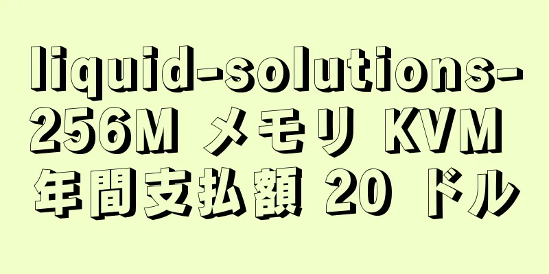 liquid-solutions-256M メモリ KVM 年間支払額 20 ドル