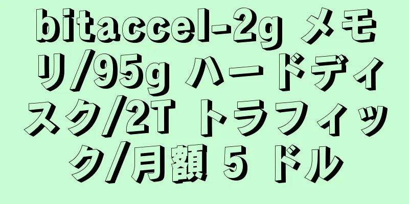 bitaccel-2g メモリ/95g ハードディスク/2T トラフィック/月額 5 ドル