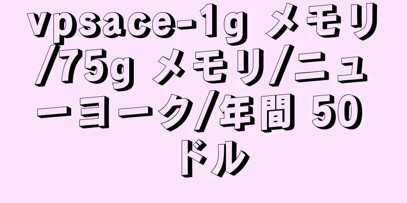 vpsace-1g メモリ/75g メモリ/ニューヨーク/年間 50 ドル
