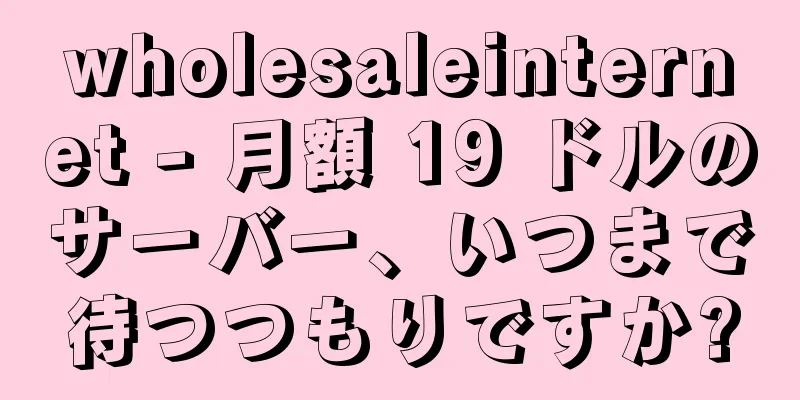 wholesaleinternet - 月額 19 ドルのサーバー、いつまで待つつもりですか?