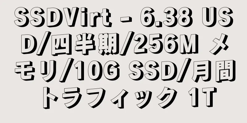 SSDVirt - 6.38 USD/四半期/256M メモリ/10G SSD/月間トラフィック 1T