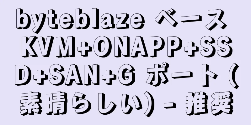 byteblaze ベース KVM+ONAPP+SSD+SAN+G ポート (素晴らしい) - 推奨