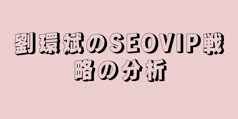 劉環斌のSEOVIP戦略の分析