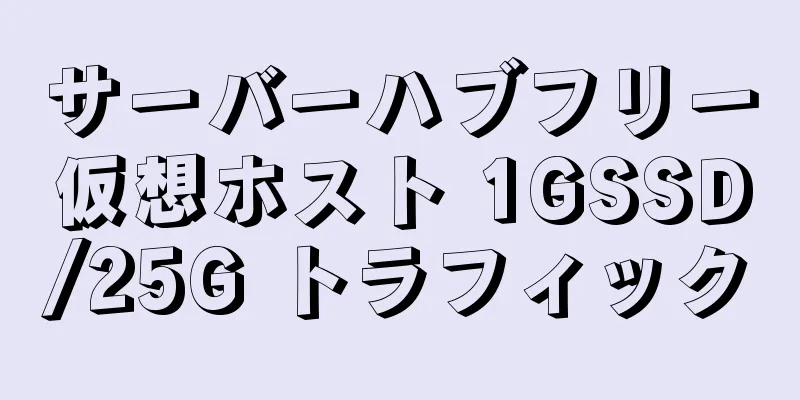 サーバーハブフリー仮想ホスト 1GSSD/25G トラフィック