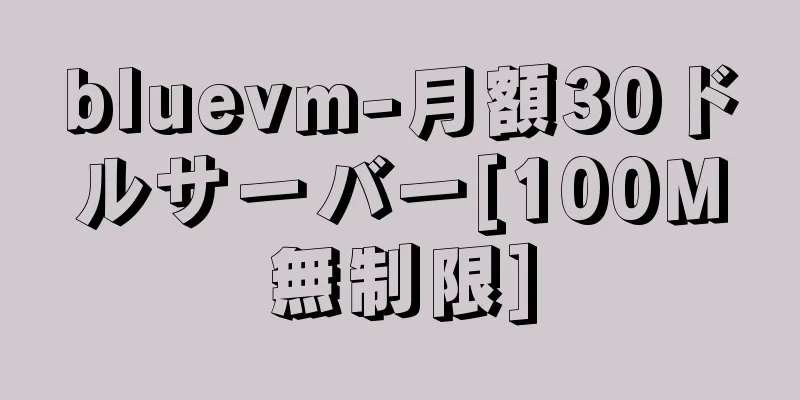 bluevm-月額30ドルサーバー[100M無制限]