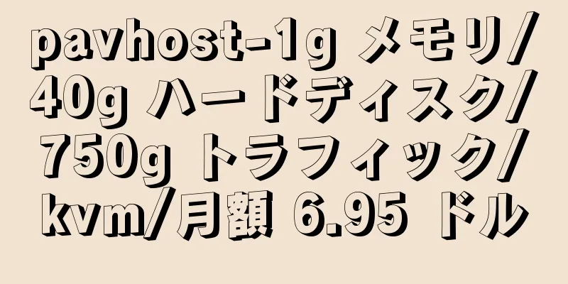 pavhost-1g メモリ/40g ハードディスク/750g トラフィック/kvm/月額 6.95 ドル