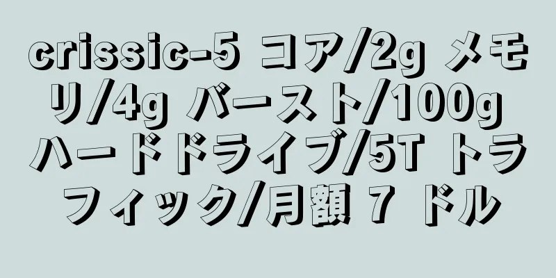 crissic-5 コア/2g メモリ/4g バースト/100g ハードドライブ/5T トラフィック/月額 7 ドル