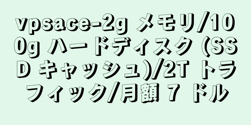 vpsace-2g メモリ/100g ハードディスク (SSD キャッシュ)/2T トラフィック/月額 7 ドル