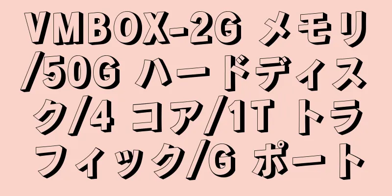 VMBOX-2G メモリ/50G ハードディスク/4 コア/1T トラフィック/G ポート