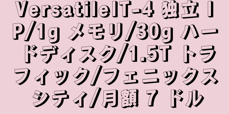 VersatileIT-4 独立 IP/1g メモリ/30g ハードディスク/1.5T トラフィック/フェニックス シティ/月額 7 ドル