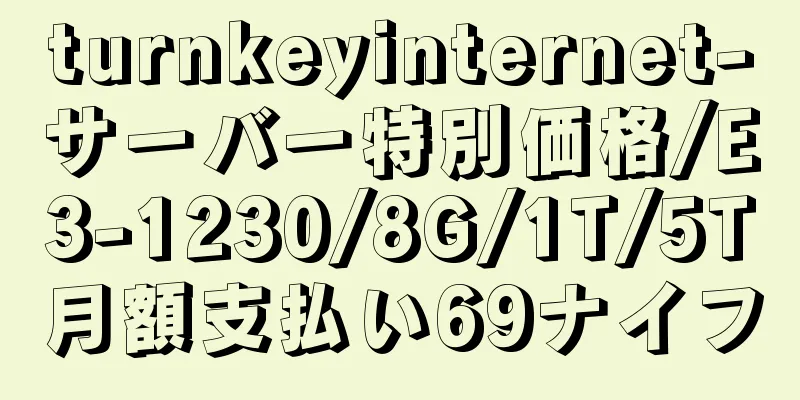 turnkeyinternet-サーバー特別価格/E3-1230/8G/1T/5T月額支払い69ナイフ