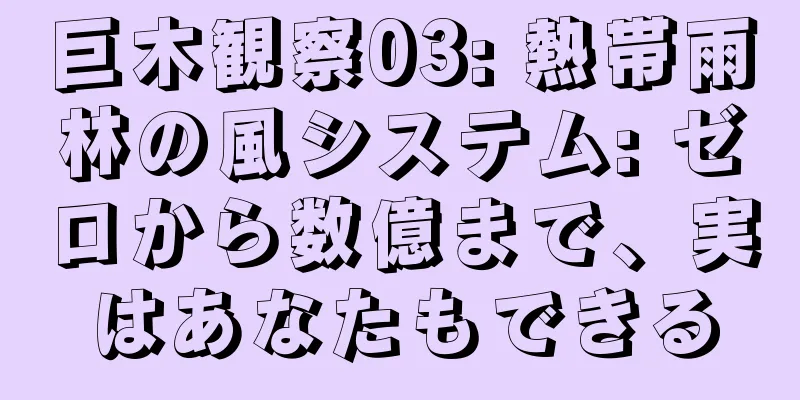 巨木観察03: 熱帯雨林の風システム: ゼロから数億まで、実はあなたもできる
