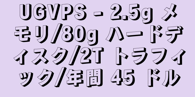 UGVPS - 2.5g メモリ/80g ハードディスク/2T トラフィック/年間 45 ドル