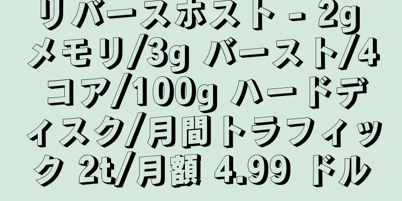 リバースホスト - 2g メモリ/3g バースト/4 コア/100g ハードディスク/月間トラフィック 2t/月額 4.99 ドル