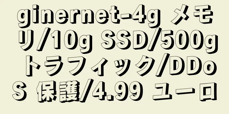ginernet-4g メモリ/10g SSD/500g トラフィック/DDoS 保護/4.99 ユーロ