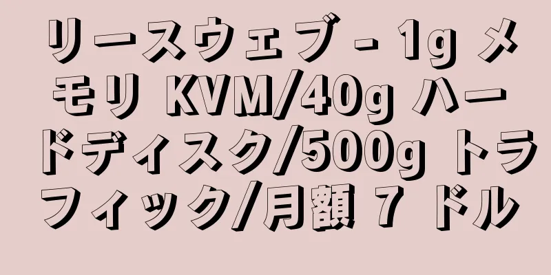 リースウェブ - 1g メモリ KVM/40g ハードディスク/500g トラフィック/月額 7 ドル