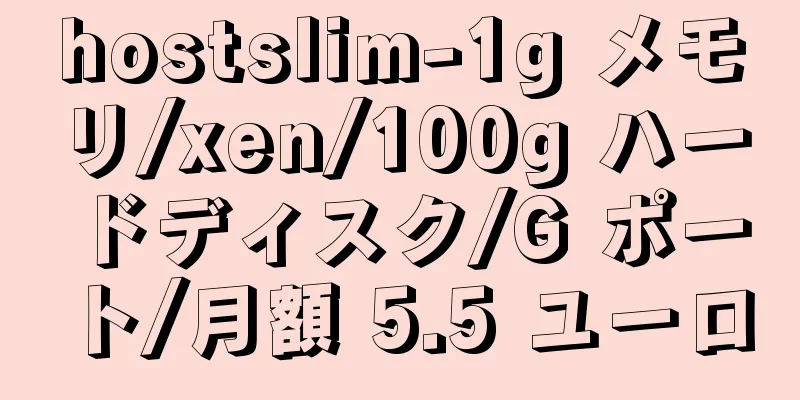 hostslim-1g メモリ/xen/100g ハードディスク/G ポート/月額 5.5 ユーロ