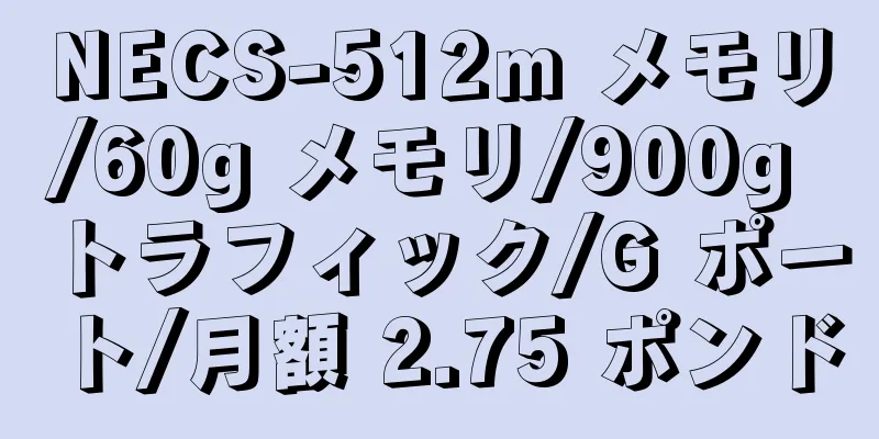 NECS-512m メモリ/60g メモリ/900g トラフィック/G ポート/月額 2.75 ポンド