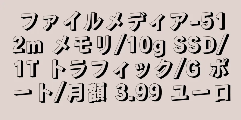 ファイルメディア-512m メモリ/10g SSD/1T トラフィック/G ポート/月額 3.99 ユーロ