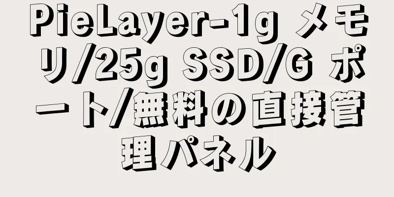 PieLayer-1g メモリ/25g SSD/G ポート/無料の直接管理パネル