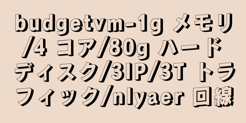 budgetvm-1g メモリ/4 コア/80g ハードディスク/3IP/3T トラフィック/nlyaer 回線