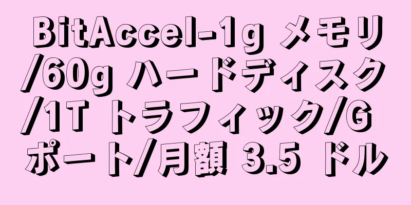BitAccel-1g メモリ/60g ハードディスク/1T トラフィック/G ポート/月額 3.5 ドル