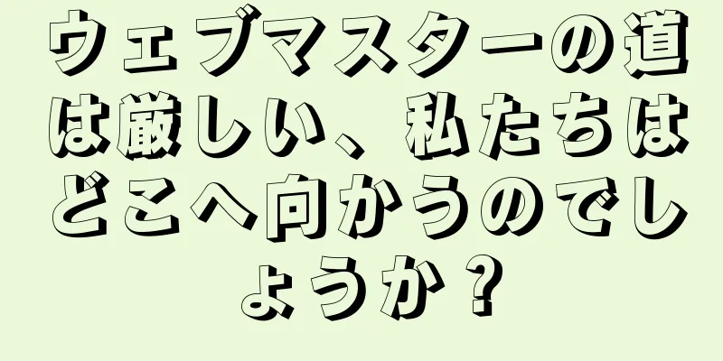 ウェブマスターの道は厳しい、私たちはどこへ向かうのでしょうか？