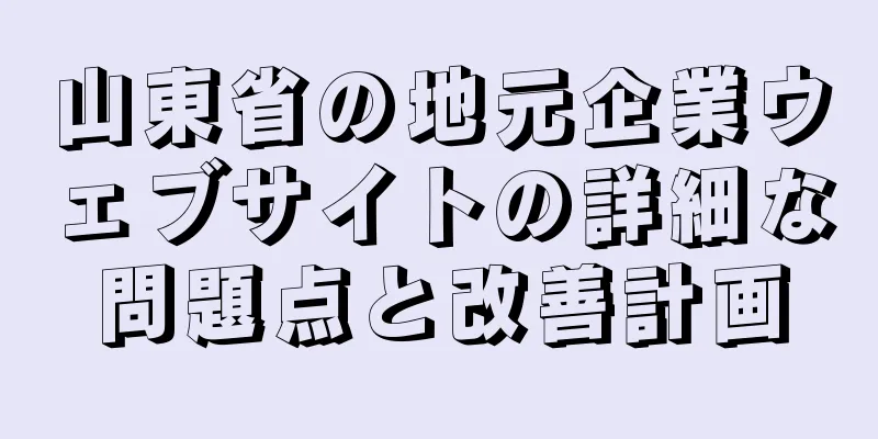 山東省の地元企業ウェブサイトの詳細な問題点と改善計画