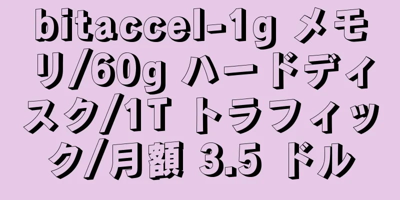 bitaccel-1g メモリ/60g ハードディスク/1T トラフィック/月額 3.5 ドル