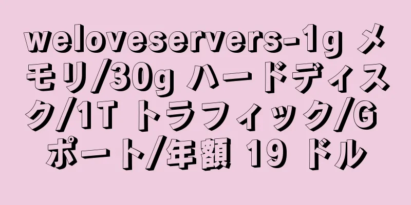 weloveservers-1g メモリ/30g ハードディスク/1T トラフィック/G ポート/年額 19 ドル