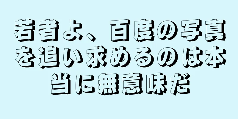 若者よ、百度の写真を追い求めるのは本当に無意味だ