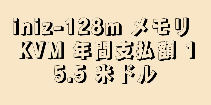 iniz-128m メモリ KVM 年間支払額 15.5 米ドル