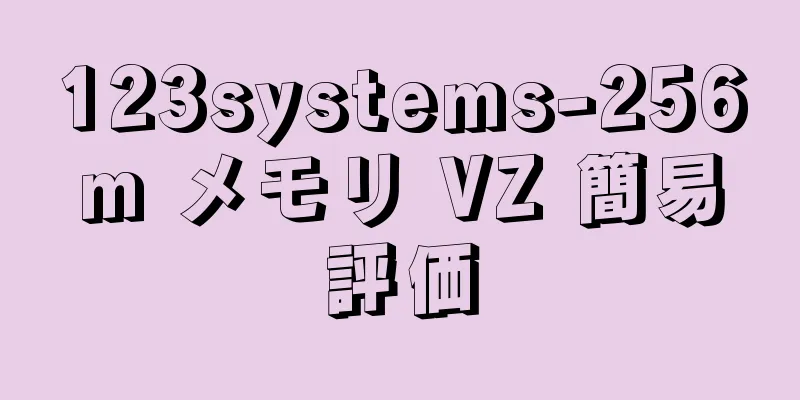 123systems-256m メモリ VZ 簡易評価