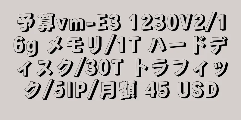 予算vm-E3 1230V2/16g メモリ/1T ハードディスク/30T トラフィック/5IP/月額 45 USD