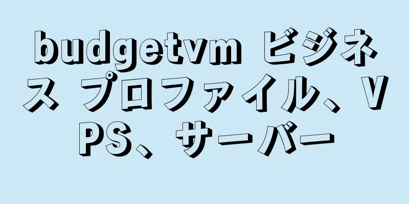 budgetvm ビジネス プロファイル、VPS、サーバー