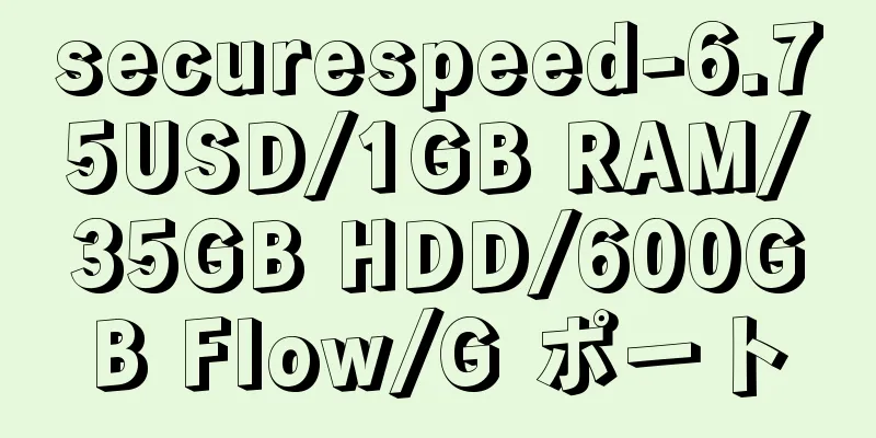 securespeed-6.75USD/1GB RAM/35GB HDD/600GB Flow/G ポート