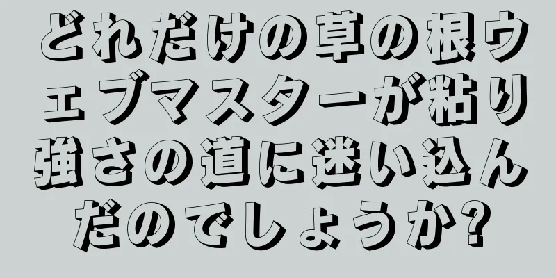 どれだけの草の根ウェブマスターが粘り強さの道に迷い込んだのでしょうか?