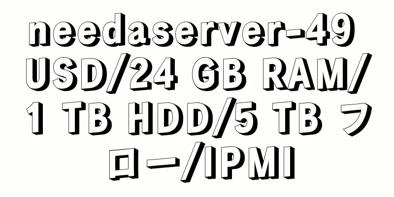 needaserver-49 USD/24 GB RAM/1 TB HDD/5 TB フロー/IPMI