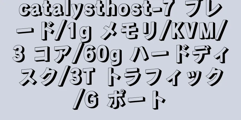 catalysthost-7 ブレード/1g メモリ/KVM/3 コア/60g ハードディスク/3T トラフィック/G ポート
