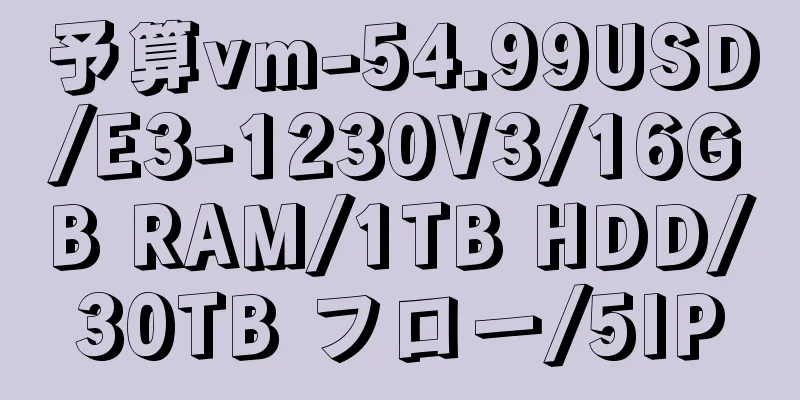 予算vm-54.99USD/E3-1230V3/16GB RAM/1TB HDD/30TB フロー/5IP