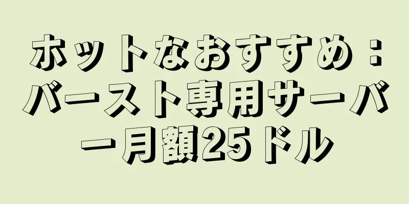 ホットなおすすめ：バースト専用サーバー月額25ドル