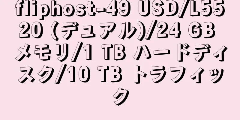 fliphost-49 USD/L5520 (デュアル)/24 GB メモリ/1 TB ハードディスク/10 TB トラフィック