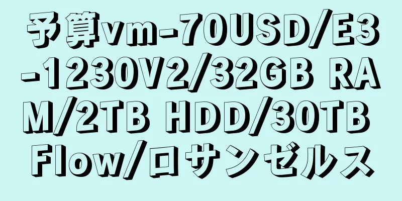 予算vm-70USD/E3-1230V2/32GB RAM/2TB HDD/30TB Flow/ロサンゼルス