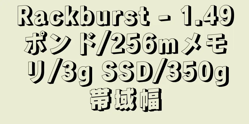 Rackburst - 1.49ポンド/256mメモリ/3g SSD/350g帯域幅