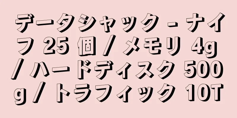 データシャック - ナイフ 25 個 / メモリ 4g / ハードディスク 500g / トラフィック 10T