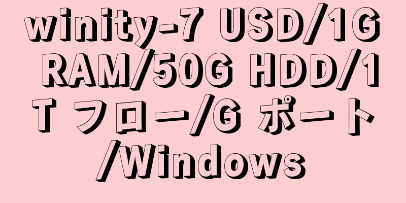 winity-7 USD/1G RAM/50G HDD/1T フロー/G ポート/Windows